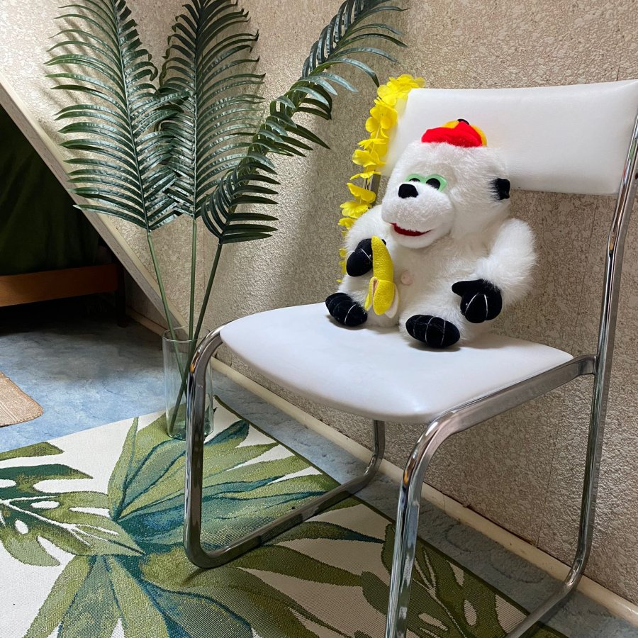 Repos tropical
